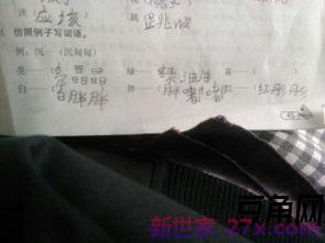 字词句喜