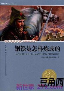 钢铁是怎样炼成的词句加赏析