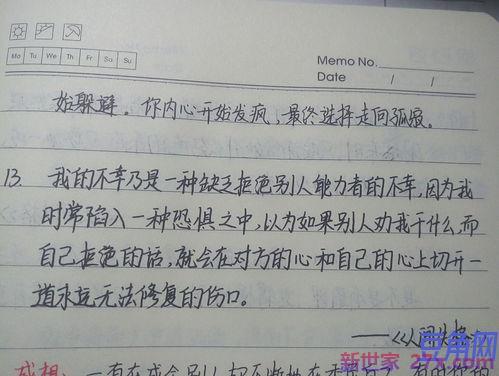 抄句子段落理解词句 好句好段摘抄大全加赏析