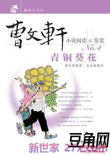 青铜葵花里的关联词句子