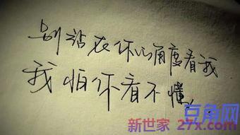 表达恨的感情的句子