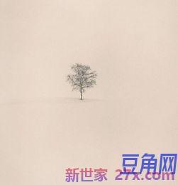 描写摄影的词句 描写摄影的词语