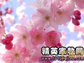 形容女人美丽的词句带花字 形容女人和花一样漂亮的句子