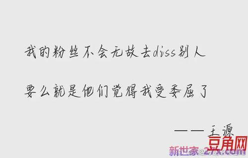 表达对偶像的句子