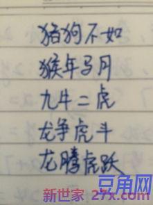 写十二生肖的词句 描写十二生肖的句子