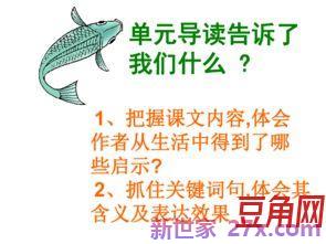 钓鱼的启示的关键词句及含义 钓鱼的启示好词好句好段