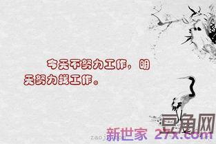 表达喜欢事业的句子 有关事业的句子