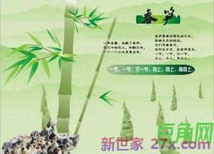 形容笋美味词句 形容竹笋的词语