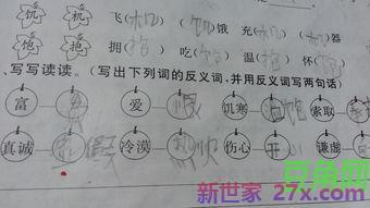 反义词句子大全两句 含反义词的句子大全