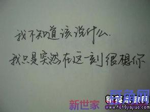 形容刚入冬的词句
