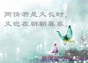写男女感情的词句 描写男女恋情的诗词
