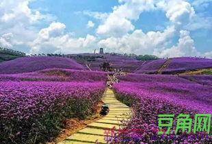 黔北花海词句