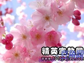 小学生描写花草优美词句 描写花草的优美句子