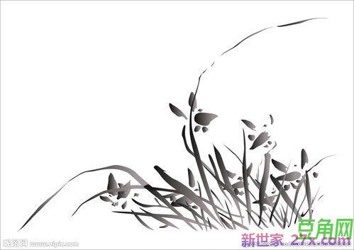 水墨兰花画法词句 国画兰花