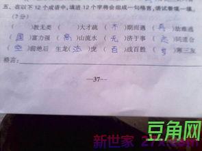 形容人志大才疏的词句