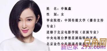 表达中卫美的句子 用四字词语来形容中卫