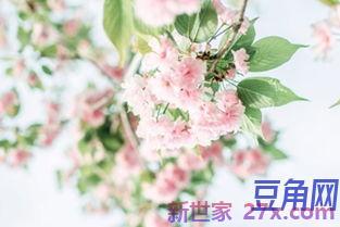 带有月的诗词句段 古诗词中含有月的句子有哪些