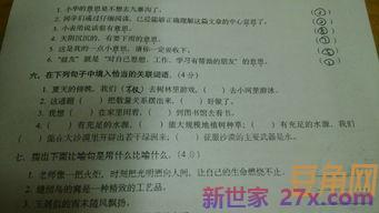 小学关联词句 小学关联词
