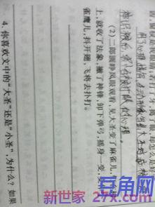 怎样分析词句的表达效果