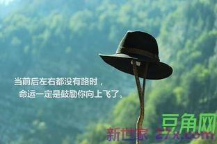 表达对他人敬仰的句子 用什么句子表达对某人的敬佩之情