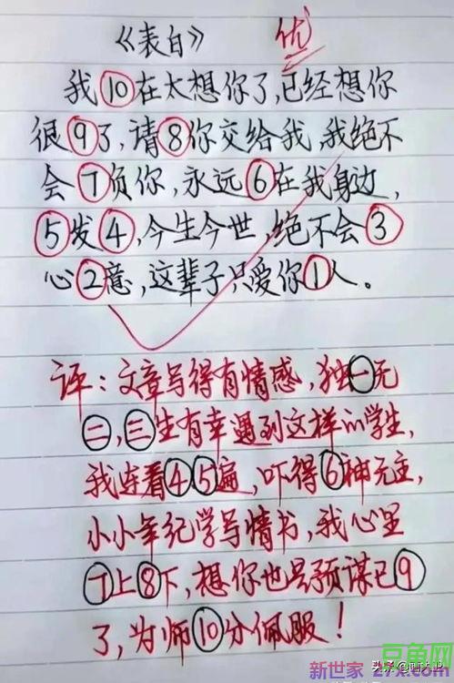 描写鱼缸的词句 赞美鱼缸的诗句