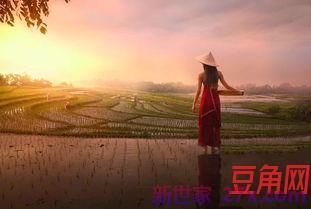 表达生活中很累的句子