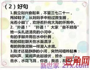 适合小学生词句积累的文章 小学,优美的文章摘抄本摘抄