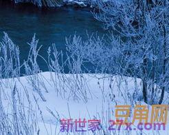 形容飞舞的词句