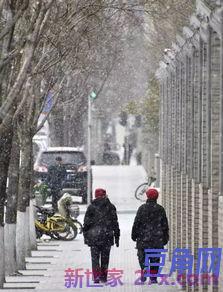2019终于下雪了的好词句 关于下雪的好词好句