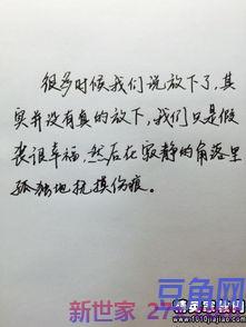 描述无法表达心情的句子