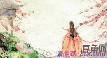 描写琵琶香味四溢的词句 关于琵琶的唯美句子
