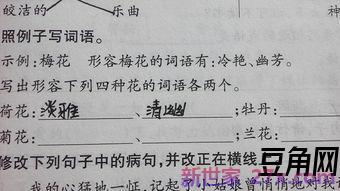 赞美牡丹花的词语或词句 赞美牡丹花的词语
