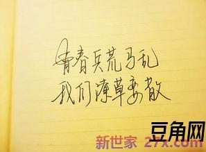 好姐姐去世表达沉痛心情的句子