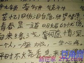 描写松的优美词句