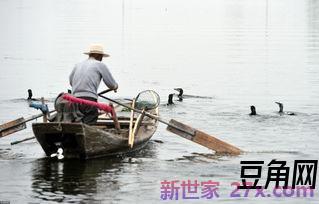 渔民捕鱼词句 描写渔民的诗句