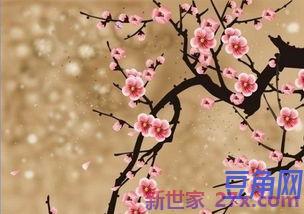 描写春天小昆虫优美词句