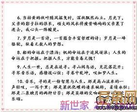 唯美词句摘抄 优美词句摘抄