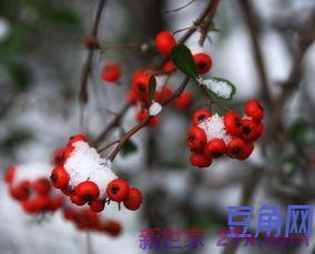 形容冬天美人的词句 赞美美女冬季的诗句