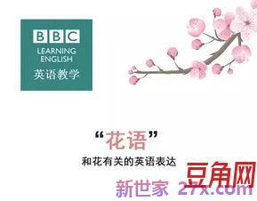 形容花的英语词句 关于花的英语句子