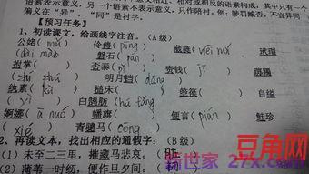 表达好评的词句 形容好评很多的词语