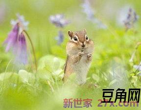 春天的诗词句段 描写春天的优美句子,古诗