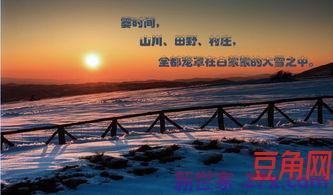 描绘冬天夜的优美词句 描写冬天的优美句子