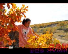 我找到了秋天的词句 我要搜集一些描写秋天的词句