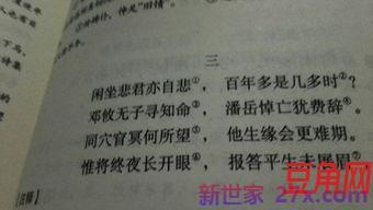 形容男士淡泊随性的词句 形容男生慵懒邪魅的句子
