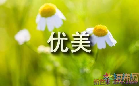 优美好词句