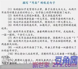 描写文章章节设置优美的词句 形容文章优美的词语