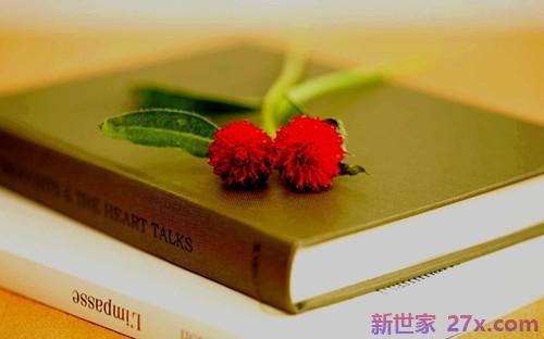 关于爱情细节的句子(剑来关于爱情的句子)