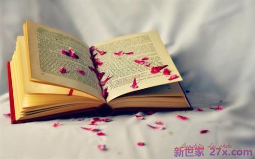 张爱玲关于爱情的句子(关于爱情的唯美句子张爱玲)