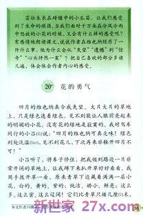 花的勇气教材解读词句解析 花的勇气课文