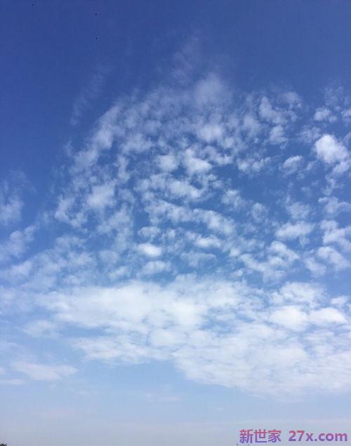 表达阳光明媚的心情好的句子 形容阳光明媚心情好的语句有哪些